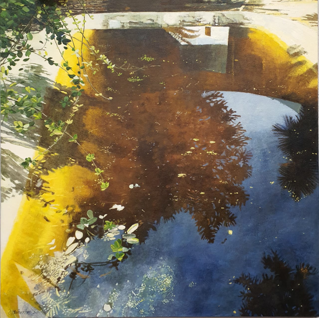 Danielle Malherbe - Still pool